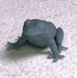 Giant Frog